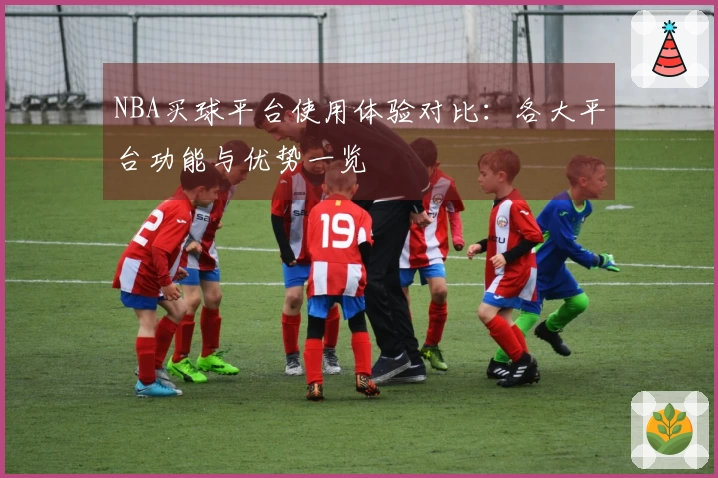 NBA买球平台使用体验对比：各大平台功能与优势一览