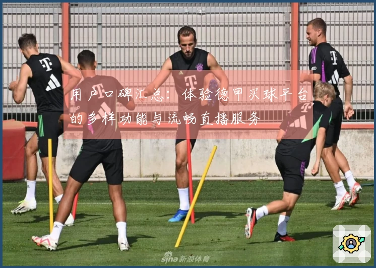 用户口碑汇总：体验德甲买球平台的多样功能与流畅直播服务